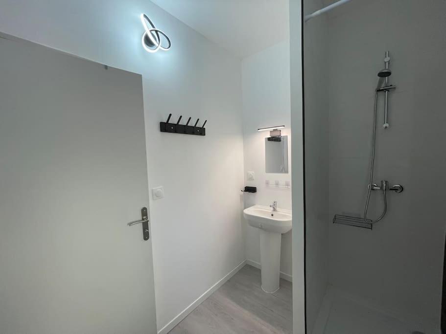 Studio A2 18M2 Cosy 5Minutes Gare Parking Gratuit Rue De La Mure Роанн Екстер'єр фото